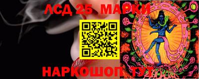 PSILOCYBIN Гай