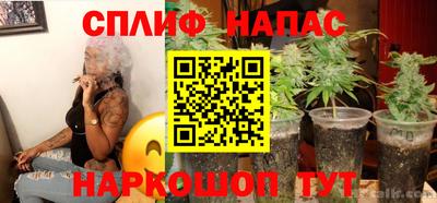 PSILOCYBIN Гай