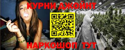 PSILOCYBIN Гатчина