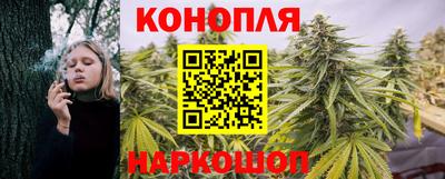 PSILOCYBIN Гай