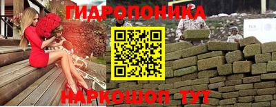 PSILOCYBIN Гатчина