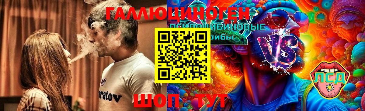 Псилоцибиновые грибы Psilocybe Гудермес